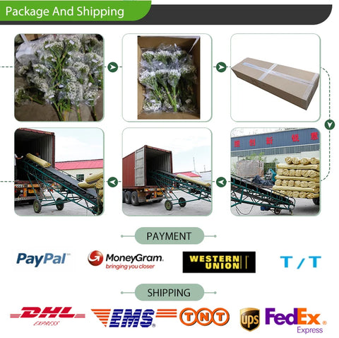 Back-to-school season birthday and Valentine's Day can be customized environmentally natural soybean candle with dried flowers