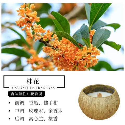 1pcs Coconut Shell Aromatherapy Candles Atmosphere Fragrance Bridesmaid Bridesmaid Gift for Guests Favors Room Decoration
