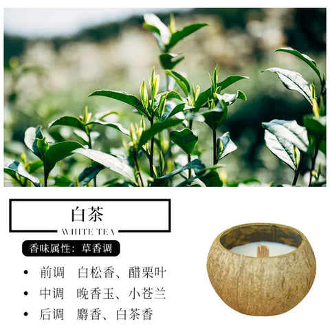 1pcs Coconut Shell Aromatherapy Candles Atmosphere Fragrance Bridesmaid Bridesmaid Gift for Guests Favors Room Decoration