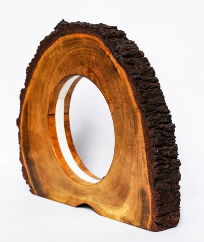 Rare Found Round Wooden Hollow Log Light Table Lamp